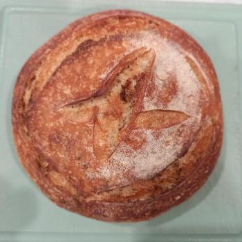 V9 Oregano Bread first overview