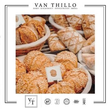 Van Thillo PUUR desem PUUR DESEM Van Thillo first overview