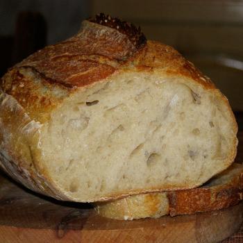 vilekula AKA Sunny sourdough second slice