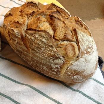 Wheat Starter Variety of Products first slice