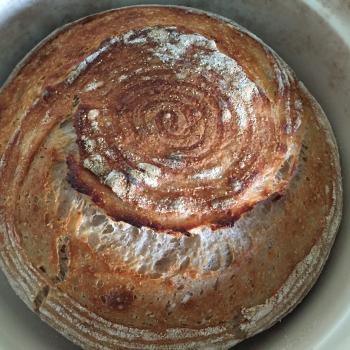 ZIPPY Moon Magic Sourdough first overview