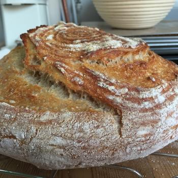 ZIPPY Moon Magic Sourdough second overview