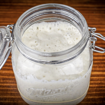 A Knead to Bake top shot