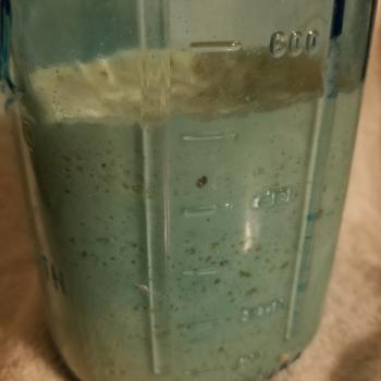 Agnes recipe