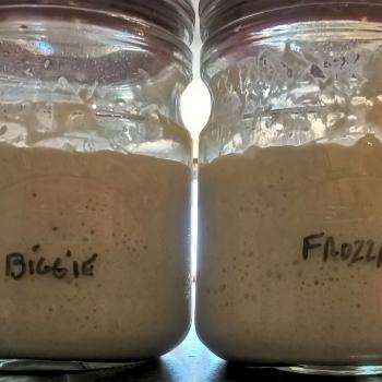 Andrew's rye culture recipe