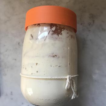 Apollonia recipe