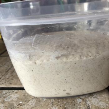 Aunt Jo’s Dough top shot