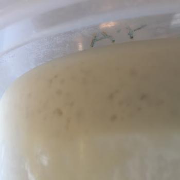 Baby's Bread recipe