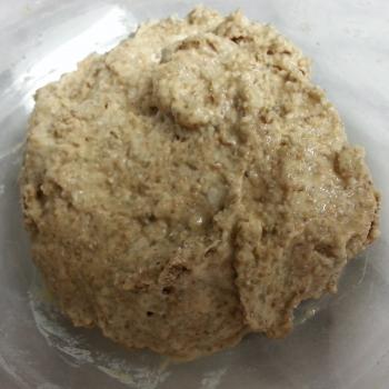 Basic Sourdough top shot