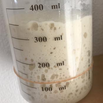 Budo#1 recipe