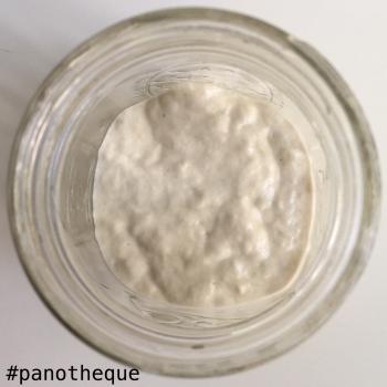 Cambio jar shot