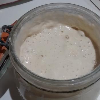 Catherine's Recovery Starter jar shot