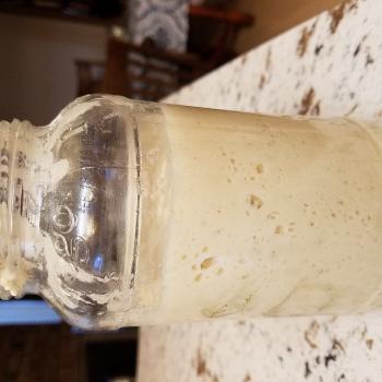 Champa Herman recipe