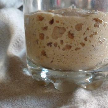 DOLI recipe