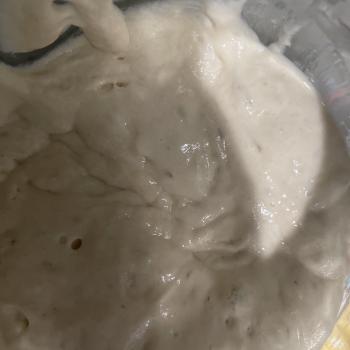ElsieDart jar shot