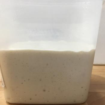 Elwyn recipe