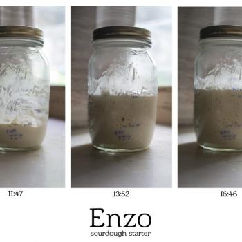 Enzo the Third recipe