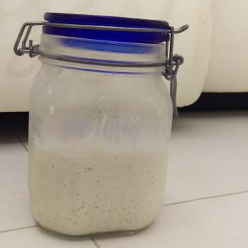 Eve 2.0 recipe