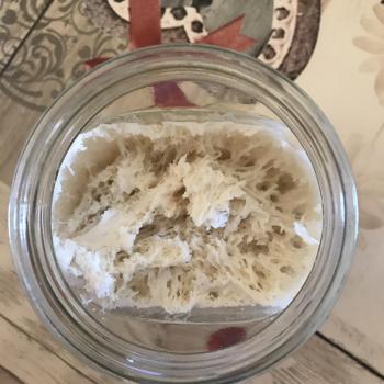 Fagottino recipe