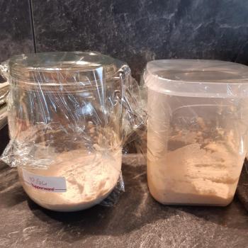 Flandrien recipe
