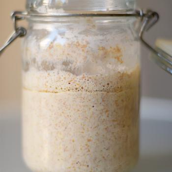 gingeryeast recipe