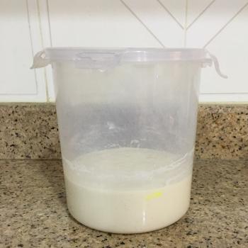 Halima recipe