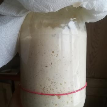 Hanny recipe