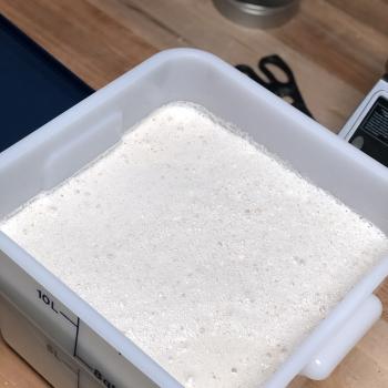 Herman recipe