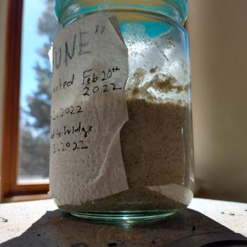 June The Gluten Free recipe