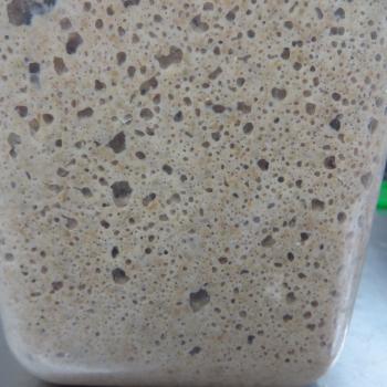 JZB-2-RM recipe