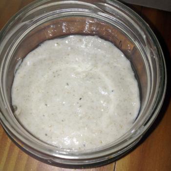 Kefir jar shot