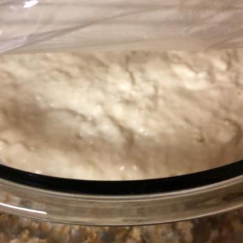 Krakitty Kraken Sourdough  top shot
