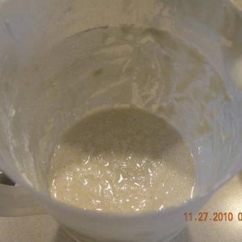 Lactobacillus Woodland top shot
