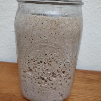 Lady recipe