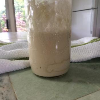 Laverne Umami recipe