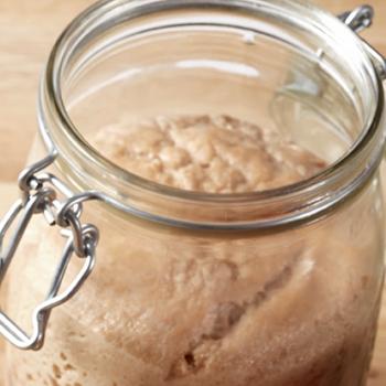 Levain au gingembre recipe