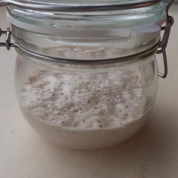 Maianas recipe