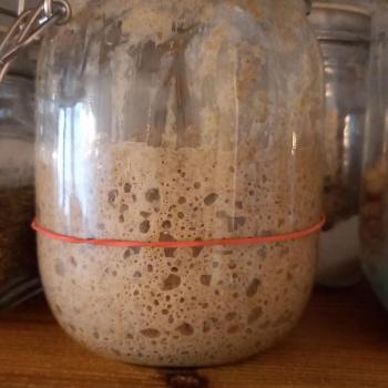 Marie Antoinette recipe