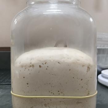 Meliante (Miscreant) jar shot