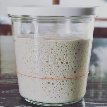 moomie recipe