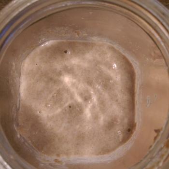 Newport News Whole Wheat recipe