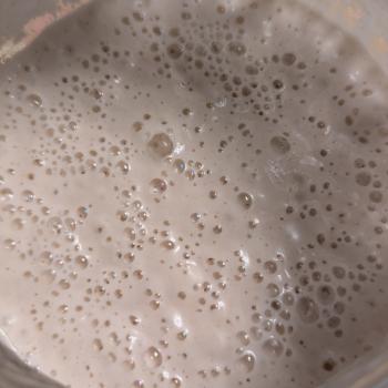 Norbert Lazarus II recipe