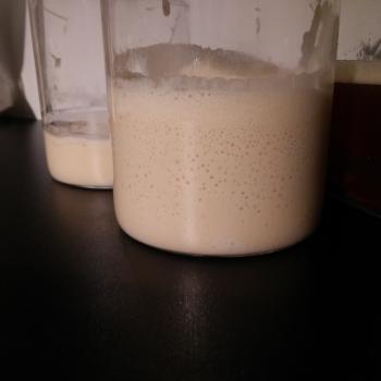Oak recipe