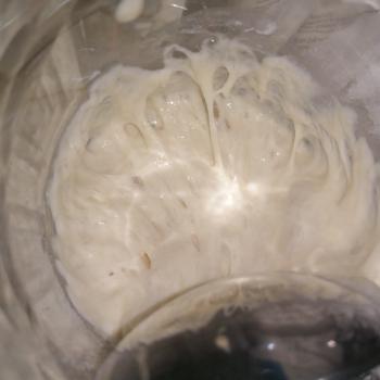 Onion Poppy Seed Sourdough jar shot