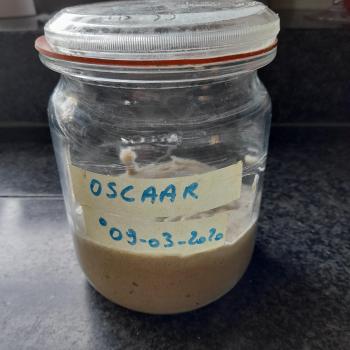 Oscaar top shot