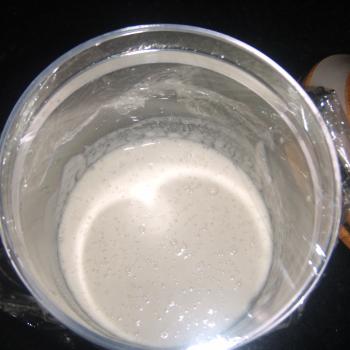 Panem fermentatum jar shot
