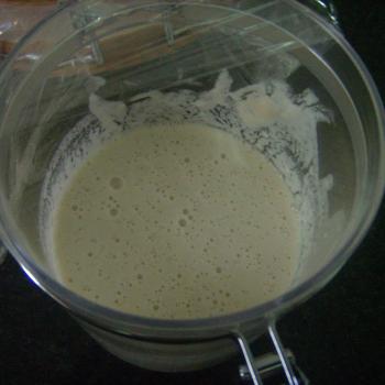 Panem fermentatum front shot