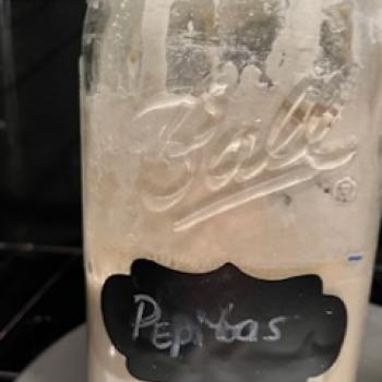 Pepitas  recipe