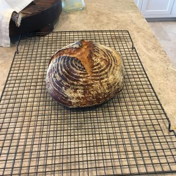 Pierre recipe