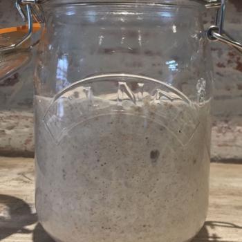 Providencia recipe